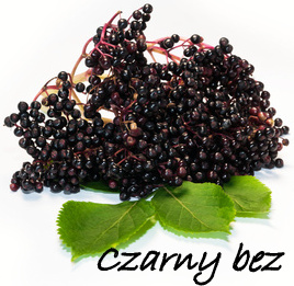 czarny bez